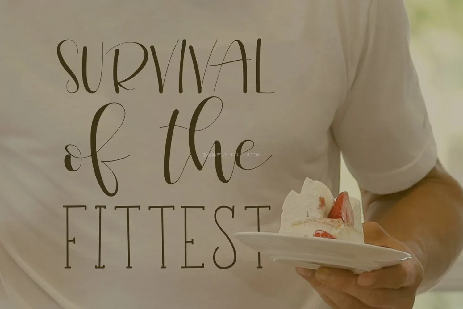 16款高质感手写字体合集